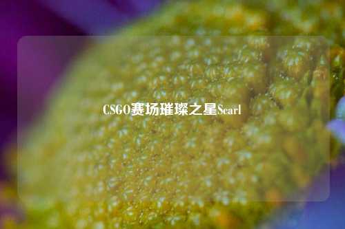 CSGO赛场璀璨之星Scarl