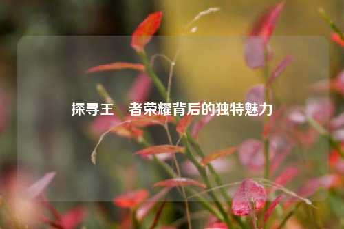 探寻王̵者荣耀背后的独特魅力