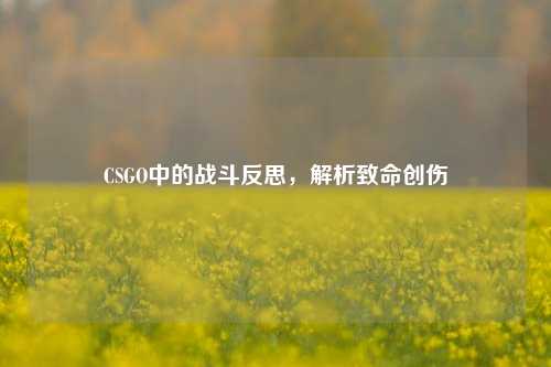 CSGO中的战斗反思,解析致命创伤