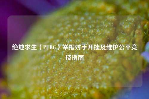 绝地求生(PUBG)举报对手开挂及维护公平竞技指南