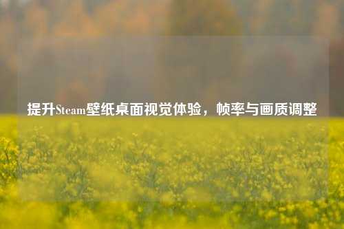提升Steam壁纸桌面视觉体验,帧率与画质调整