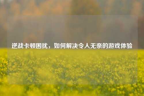 逆战卡顿困扰,如何解决令人无奈的游戏体验