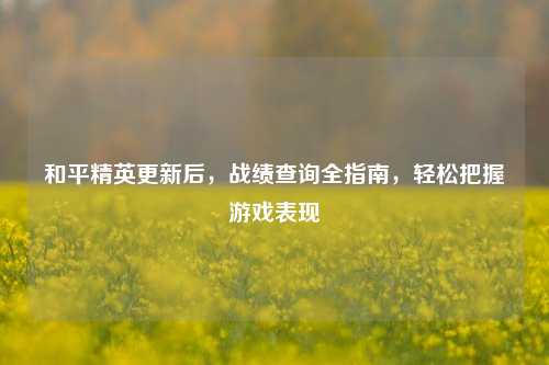和平精英更新后,战绩查询全指南,轻松把握游戏表现