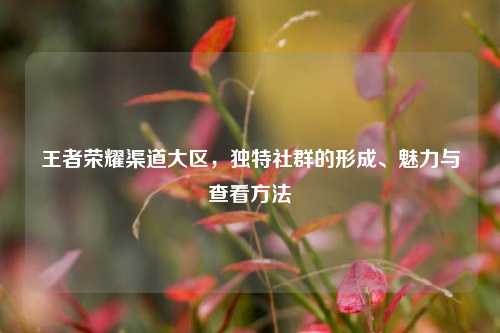 王者荣耀渠道大区,独特社群的形成、魅力与查看 ***