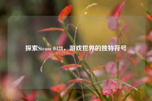 探索Steam 0428,游戏世界的独特符号