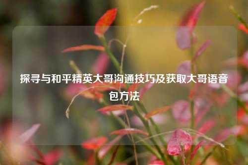 探寻与和平精英大哥沟通技巧及获取大哥语音包 *** 