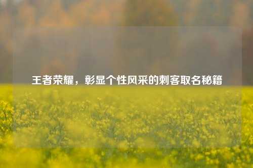 王者荣耀,彰显个性风采的刺客取名秘籍