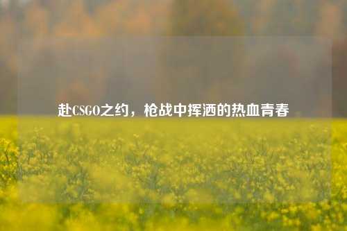 赴CSGO之约,枪战中挥洒的热血青春
