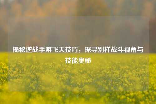 揭秘逆战手游飞天技巧,探寻别样战斗视角与技能奥秘