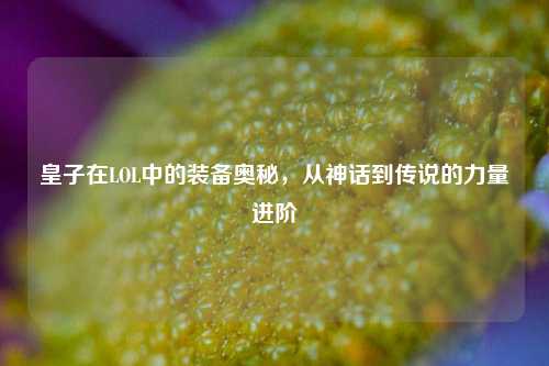 皇子在LOL中的装备奥秘,从神话到传说的力量进阶