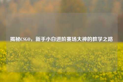 揭秘CSGO,新手小白进阶赛场大神的教学之路