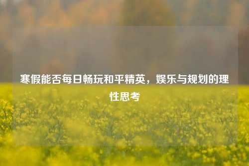 寒假能否每日畅玩和平精英,娱乐与规划的理性思考