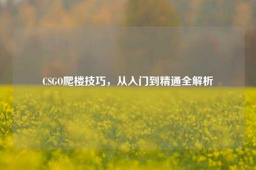 CSGO爬楼技巧,从入门到精通全解析
