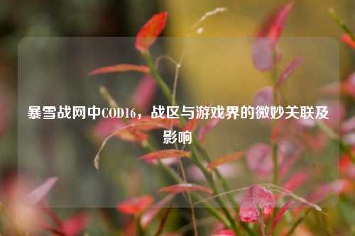 暴雪战网中COD16,战区与游戏界的微妙关联及影响