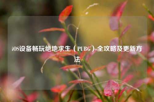 iOS设备畅玩绝地求生(PUBG)全攻略及更新 ***