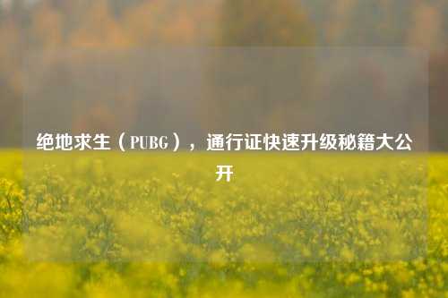 绝地求生(PUBG),通行证快速升级秘籍大公开