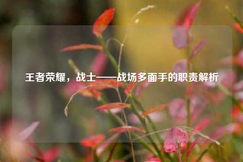 王者荣耀,战士——战场多面手的职责解析