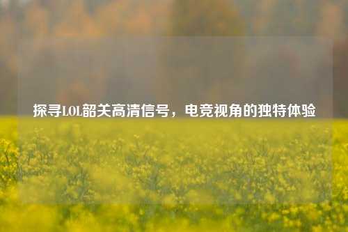 探寻LOL韶关高清信号,电竞视角的独特体验