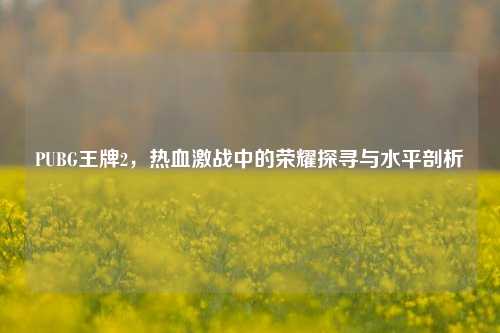 PUBG王牌2,热血激战中的荣耀探寻与水平剖析