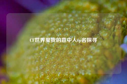 CF世界里我的意中人cp名探寻
