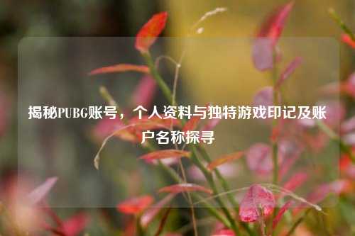 揭秘PUBG账号,个人资料与独特游戏印记及账户名称探寻