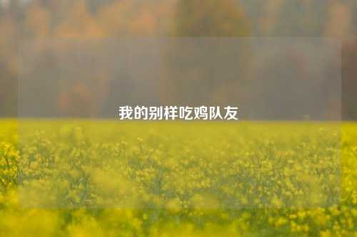 我的别样吃鸡队友