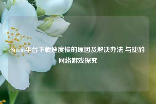 Steam平台***慢的原因及解决办法 与捷豹 *** 游戏探究