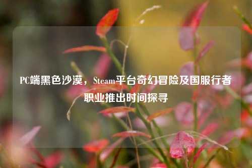 PC端黑色沙漠,Steam平台奇幻冒险及国服行者职业推出时间探寻