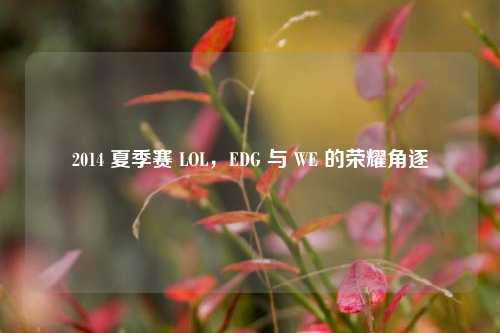 2014 夏季赛 LOL,EDG 与 WE 的荣耀角逐