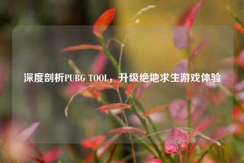 深度剖析PUBG TOOL,升级绝地求生游戏体验