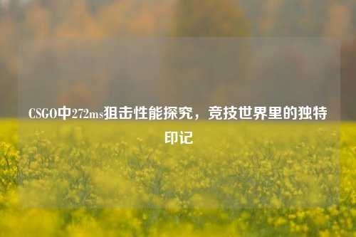 CSGO中272ms狙击性能探究,竞技世界里的独特印记