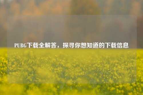 PUBG下载全解答,探寻你想知道的下载信息