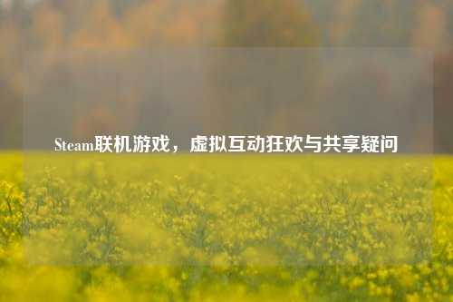 Steam联机游戏,虚拟互动狂欢与共享疑问