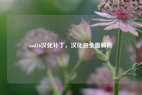 cod16汉化补丁，汉化包全面解析
