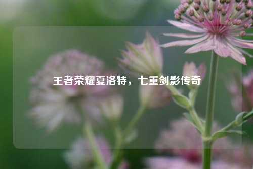 王者荣耀夏洛特,七重剑影传奇