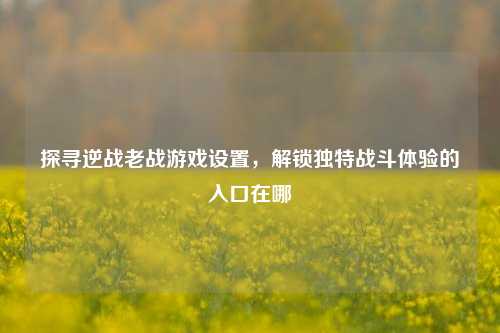 探寻逆战老战游戏设置,解锁独特战斗体验的入口在哪