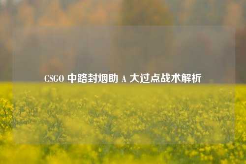 CSGO 中路封烟助 A 大过点战术解析