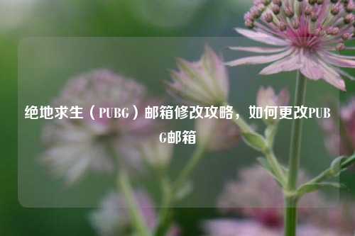 绝地求生(PUBG)邮箱修改攻略,如何更改PUBG邮箱