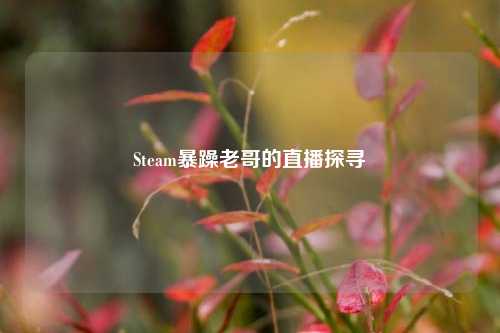 Steam暴躁老哥的直播探寻