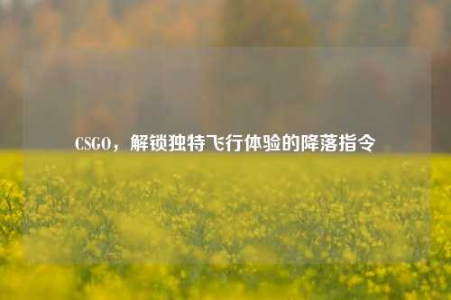 CSGO,解锁独特飞行体验的降落指令
