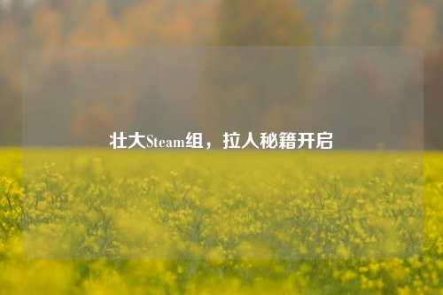 壮大Steam组,拉人秘籍开启
