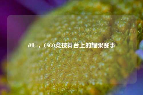 iMba，CSGO竞技舞台上的耀眼赛事