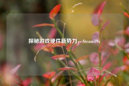 探秘游戏硬件新势力,Steam19x