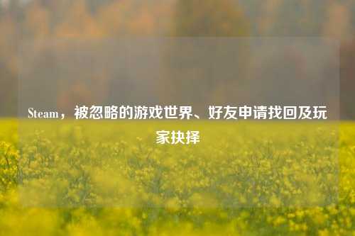 Steam,被忽略的游戏世界、好友申请找回及玩家抉择