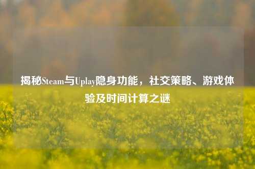 揭秘Steam与Uplay隐身功能,社交策略、游戏体验及时间计算之谜