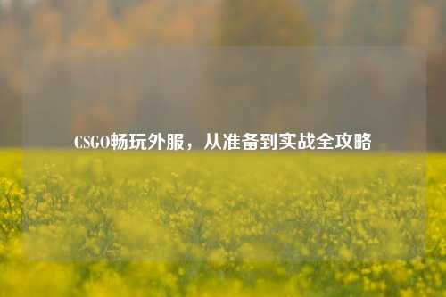 CSGO畅玩外服,从准备到实战全攻略