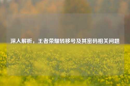 深入解析，王者荣耀转移号及其密码相关问题