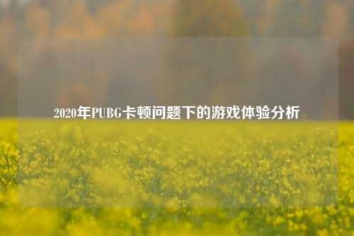 2020年PUBG卡顿问题下的游戏体验分析