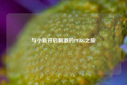 与小新开启***的PUBG之旅