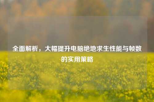 全面解析,大幅提升电脑绝地求生性能与帧数的实用策略